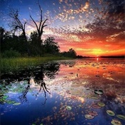 The Everglades, Florida
