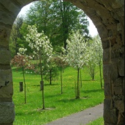 Utica Parks and Parkway Historic District by Frederick Law Olmstead