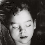 Akira Rabelais - Eisoptrophobia