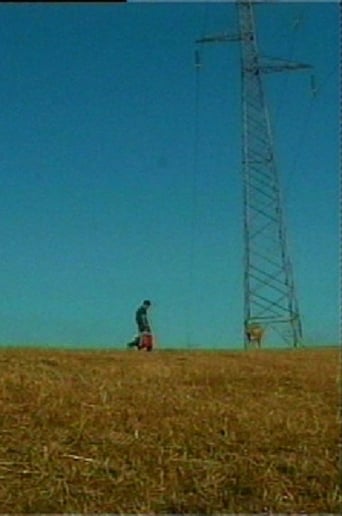 The Pursuit of Happiness (2003)