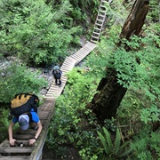 Hike the West Coast Trail (BC)