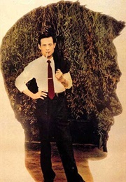 A Borrowed Life (1995)