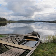 Tapojärvi