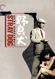 Stray Dog (1949)