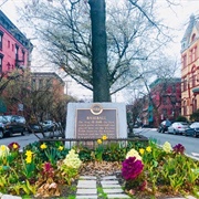 Hoboken & Jersey City