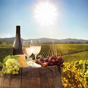 Stellenbosch, South Africa