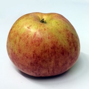 May Queen Apple