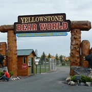 Yellowstone Bear World