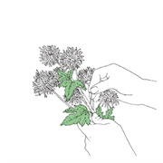 Sanso-Xtro - Sentimentalist