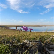 Landscapes of Dauria