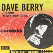 Little Things - Dave Berry