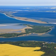 Western Pomerania Lagoon Area National Park, Germany