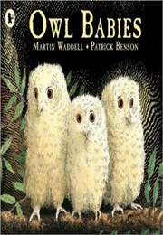 Owl Babies (Martin Waddell)