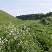 The Coombes Hinton Parva