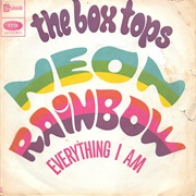 Neon Rainbow - Box Tops