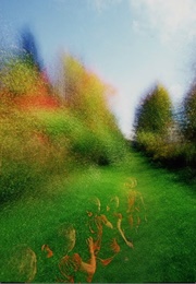 Brouillard: Passage #14 (2013)