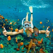 Go Snorkeling in the Caribbean
