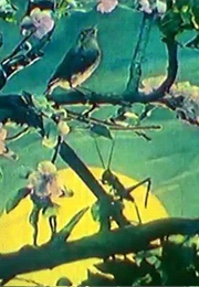 The Nightingale's Voice (1923)