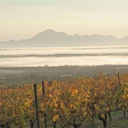 Great Southern Wine District, Western Australia