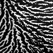 Grouper - Cover the Windows and the Walls