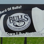 Bulls, New Zealand