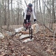 Harbison State Forest