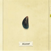 Mussel