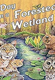 A Day in a Forested Wetland (Kevin Kurtz)