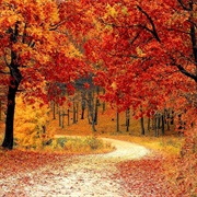 Kelowna, British Columbia, Canada