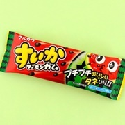 Marukawa Watermelon Bubble Gum