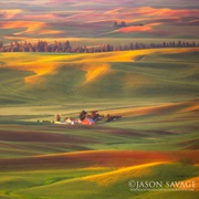 The Palouse, Idaho/Washington