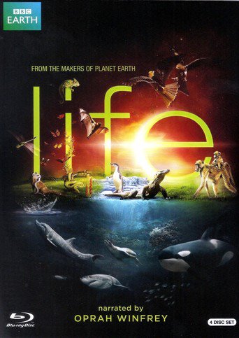 Life (2010)