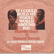 If I Could Build My Whole World Around You - Marvin Gaye & Tammi Terrell