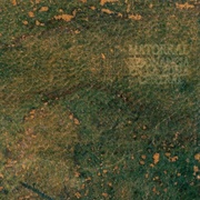 Resonancia En La Zona Central – Matorral (2007)