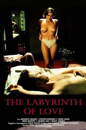 The Labyrinth of Love (1993)
