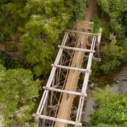 Northland Twin Coast Cycle Trail