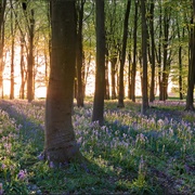 Badbury, Oxfordshire