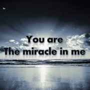 Miracle - Shinedown