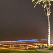 Bioluminescent Waves San Diego, California