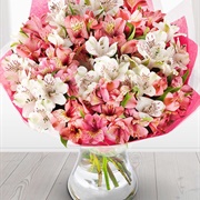 Bouquet of Flowers From Your Dad