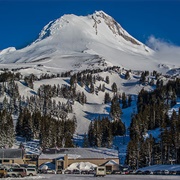 Mt. Hood Meadows
