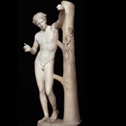 Apollo Lizard-Killer