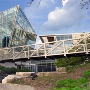 Go to the Nature Museum in Chicago