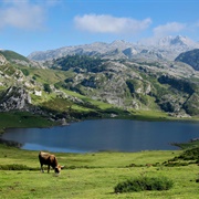 Lagos De Covadonga, Asturias, Spain