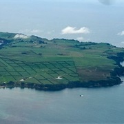 Motiti Island