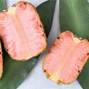 Pinkglow Pineapple