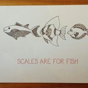 Go a Week Without Weighing Myself