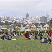 Hangout at Dolores Park/Alamo Square/"Painted Ladies"