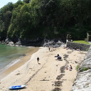 Readymoney Cove