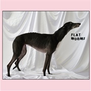 Flat Worms - Flat Worms
